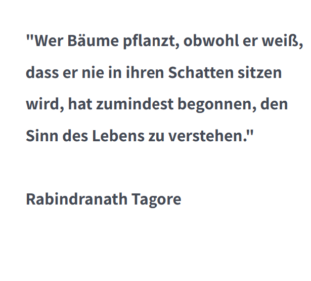 leben mit Wald Zitat